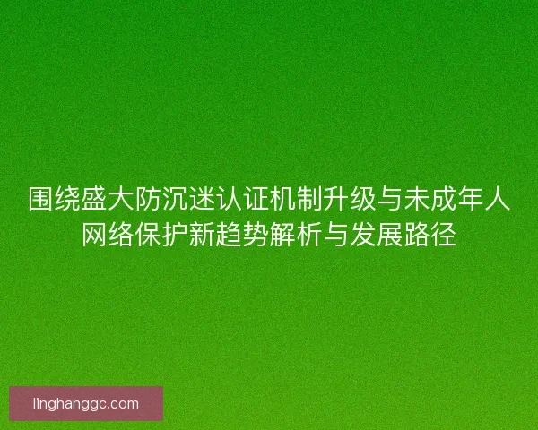 围绕盛大防沉迷认证机制升级与未成年人网络保护新趋势解析与发展路径