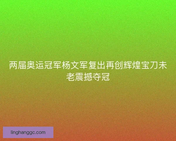 两届奥运冠军杨文军复出再创辉煌宝刀未老震撼夺冠
