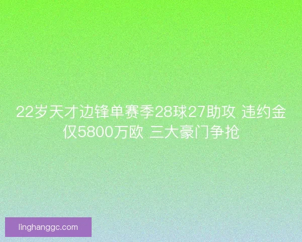 22岁天才边锋单赛季28球27助攻 违约金仅5800万欧 三大豪门争抢